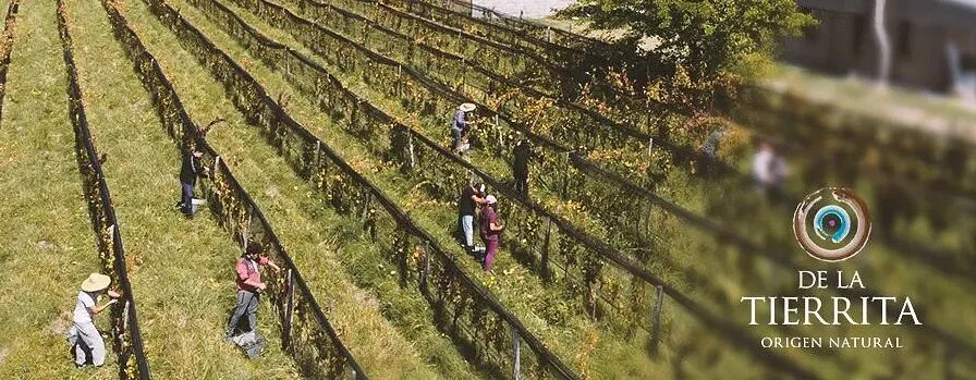 Bodega Familiar Agroecológica De La Tierrita