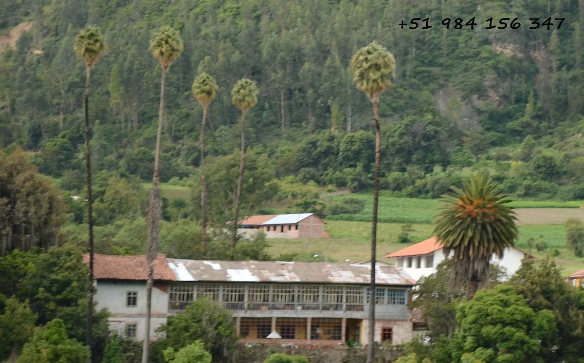 Hacienda Sondorf