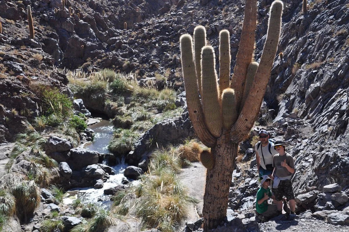 Apacheta Travel