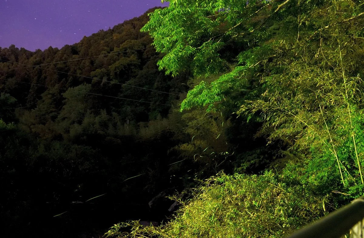 Yoshinogawa City Misato Firefly Center