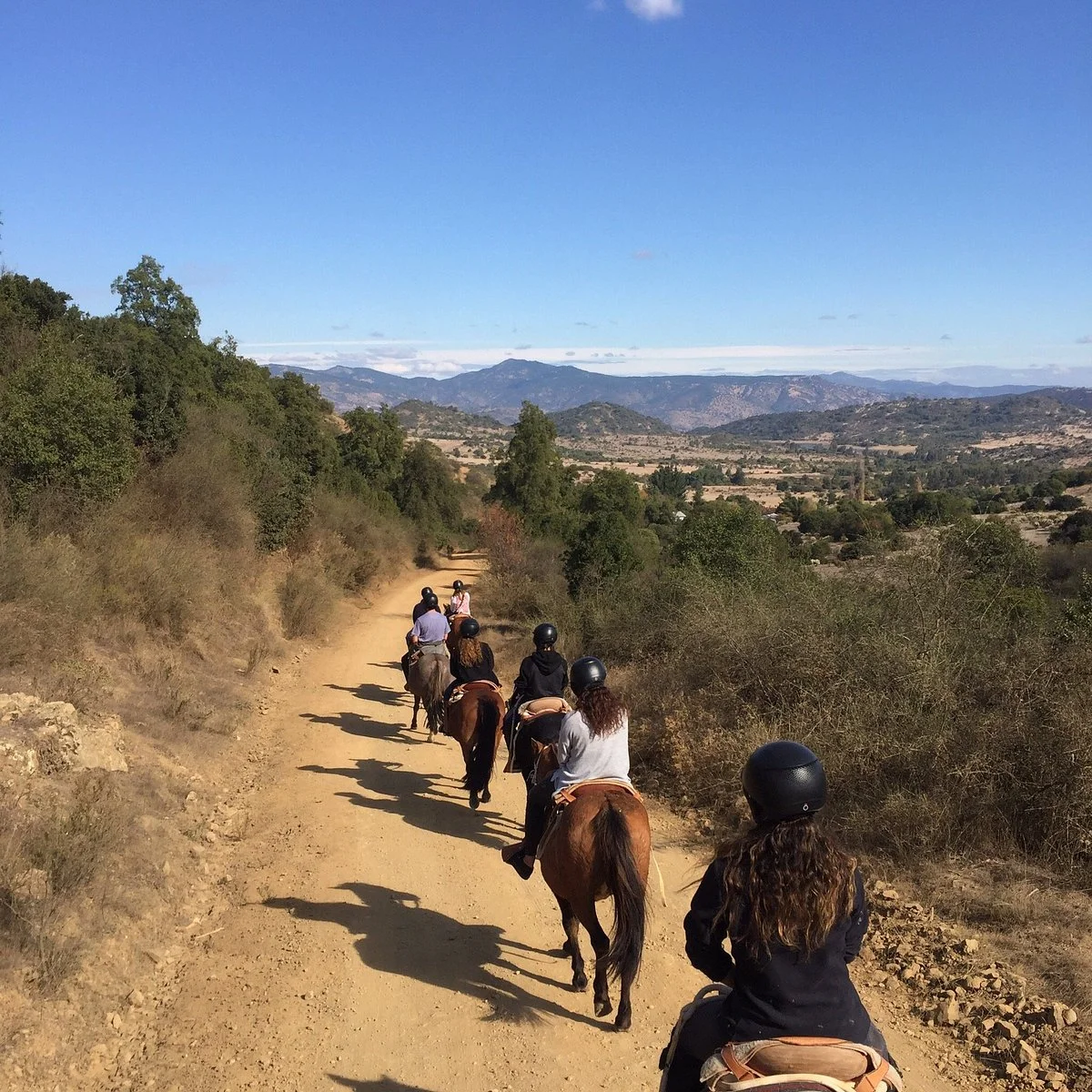 Colchagua Turismo Rural