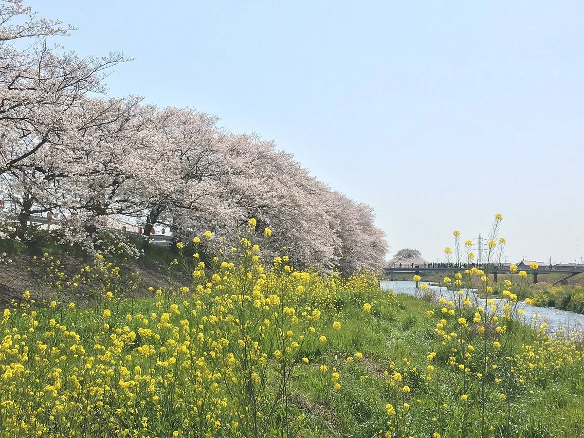 Ryuganbuchi