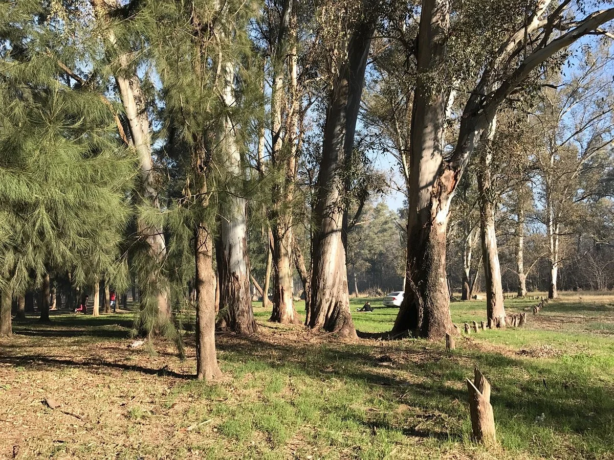 Bosques de Ezeiza