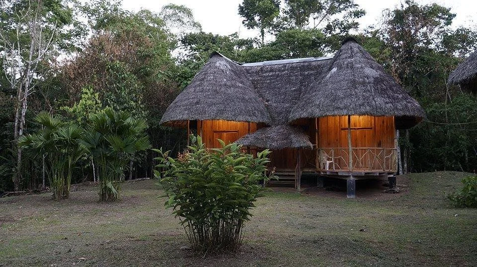 Amazon Travel