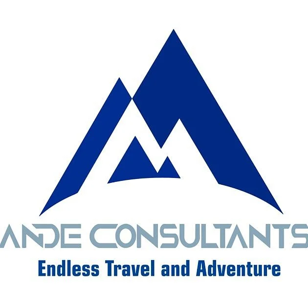 Ande Consultants