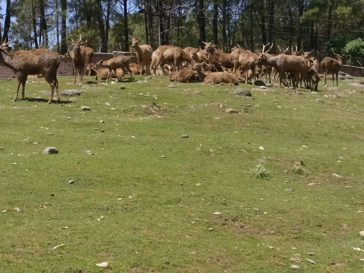Dhauladhar National Park