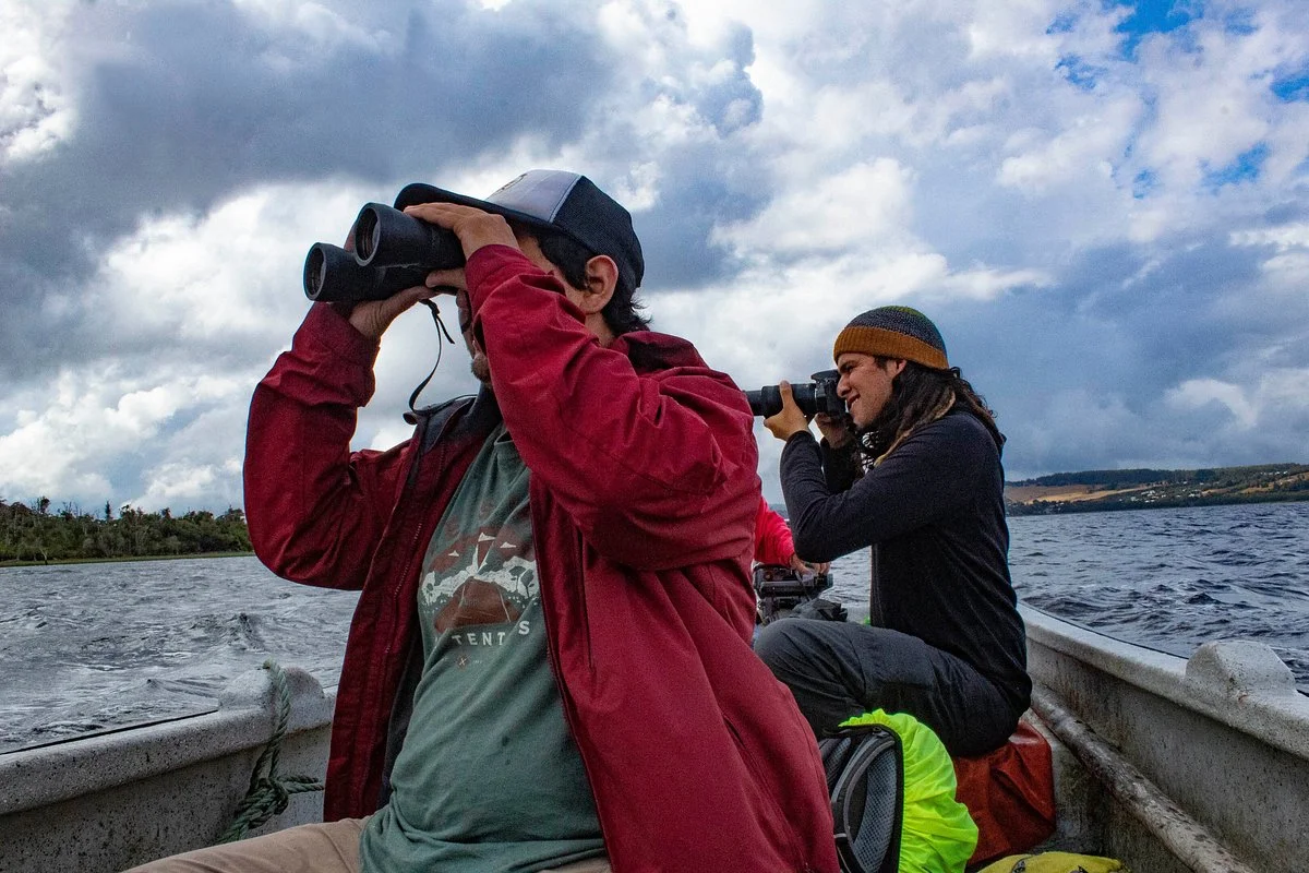 Chiloe Endemico