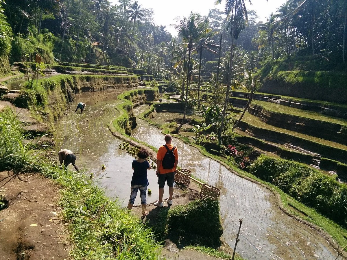 Ubud Bali Day Tour