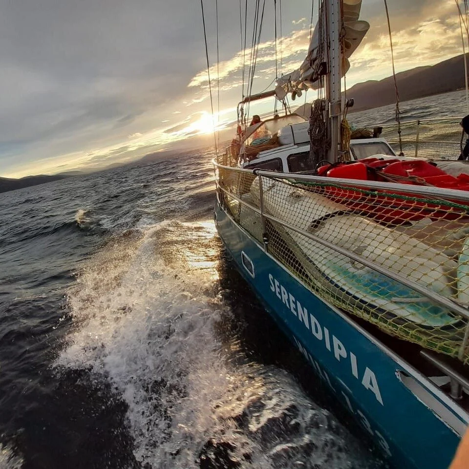 Serendipia Sailing