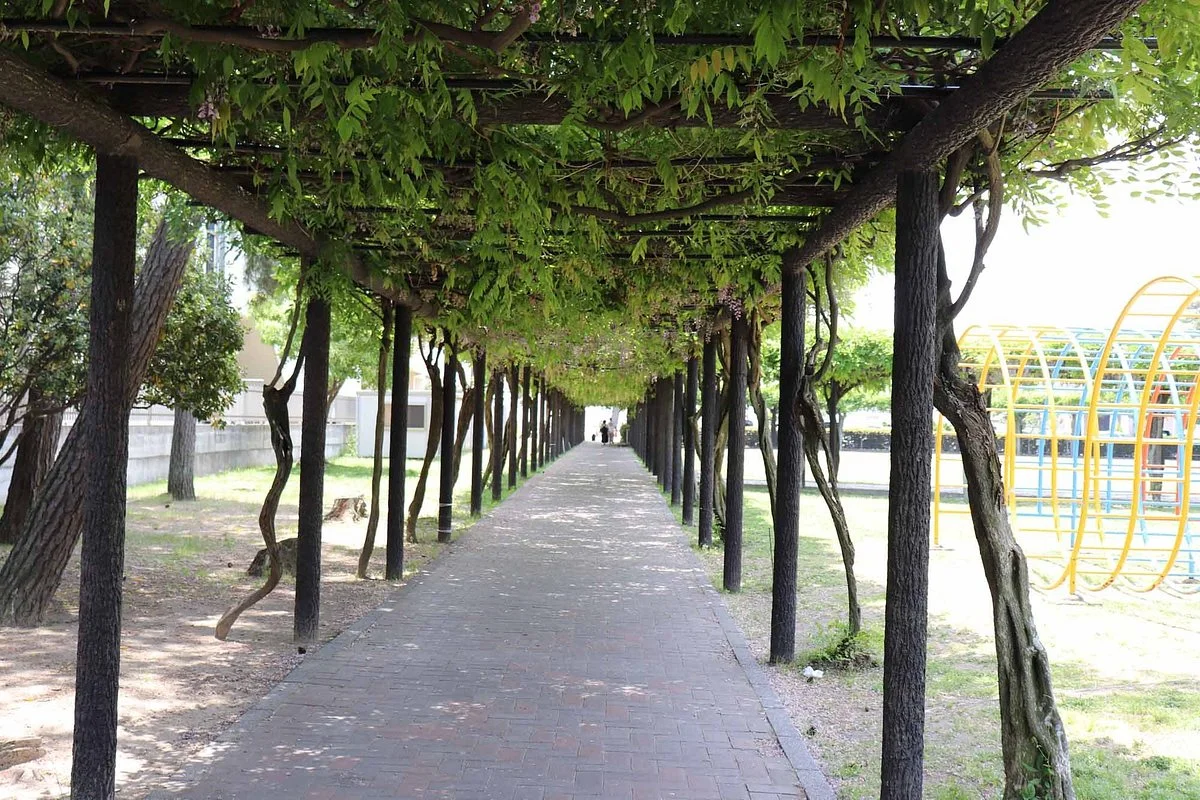 Shibukawa Park Fujidana