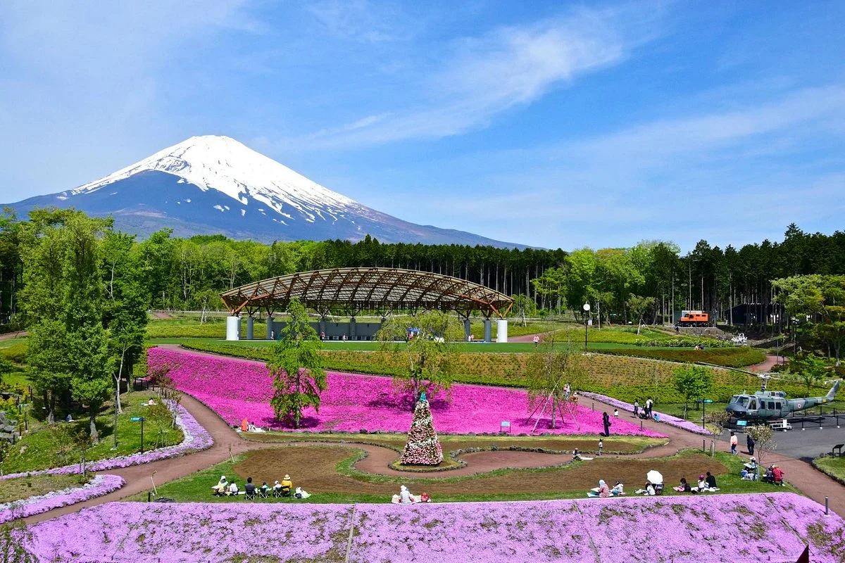 Fujisan Juku no Mori