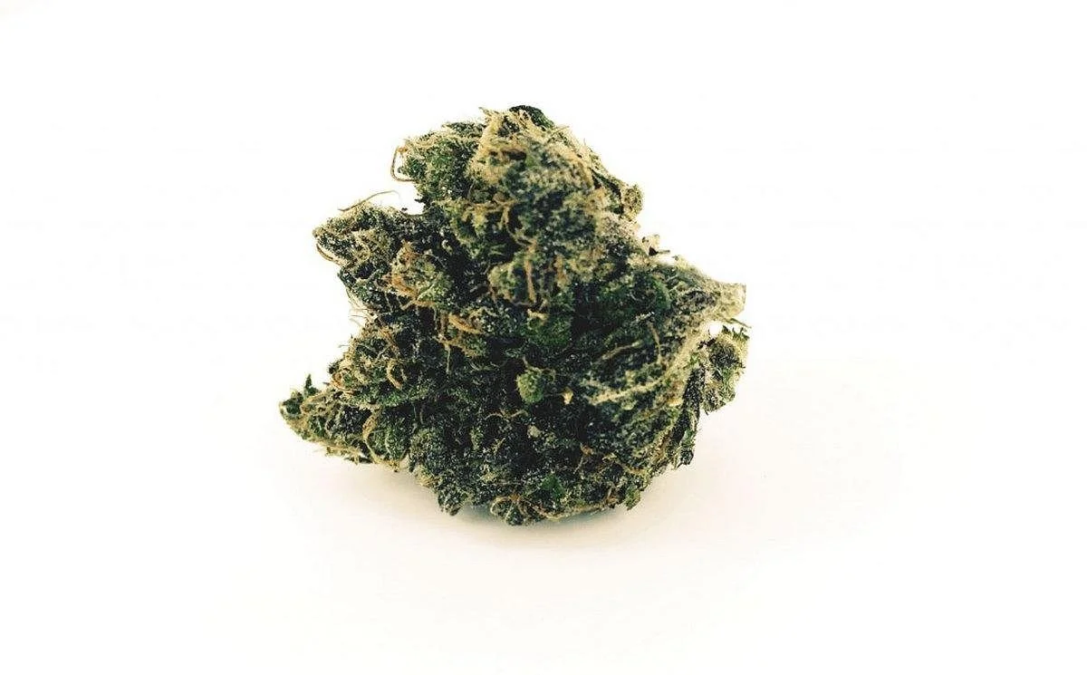 WeedTour