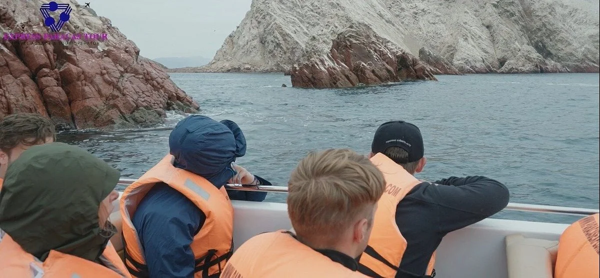 Express Paracas Tour