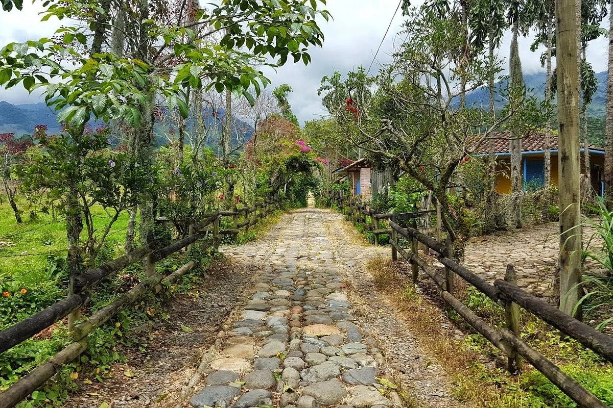 Jardín Eco Tours