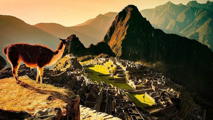 Viandina- Day Tours