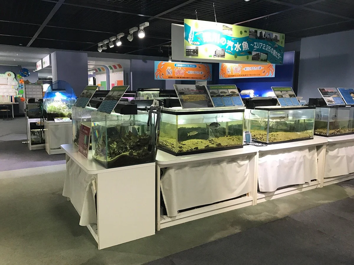 Environmental Museum of Water