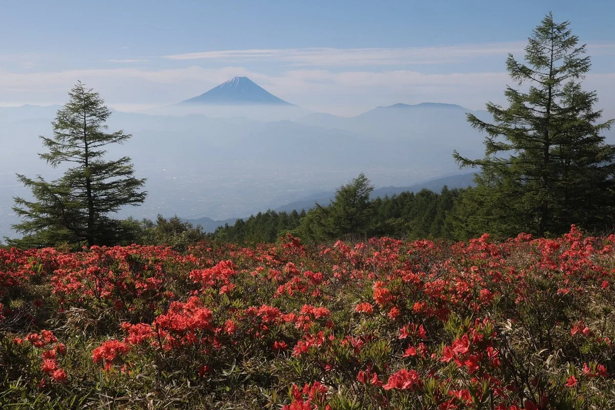 Mt. Amari