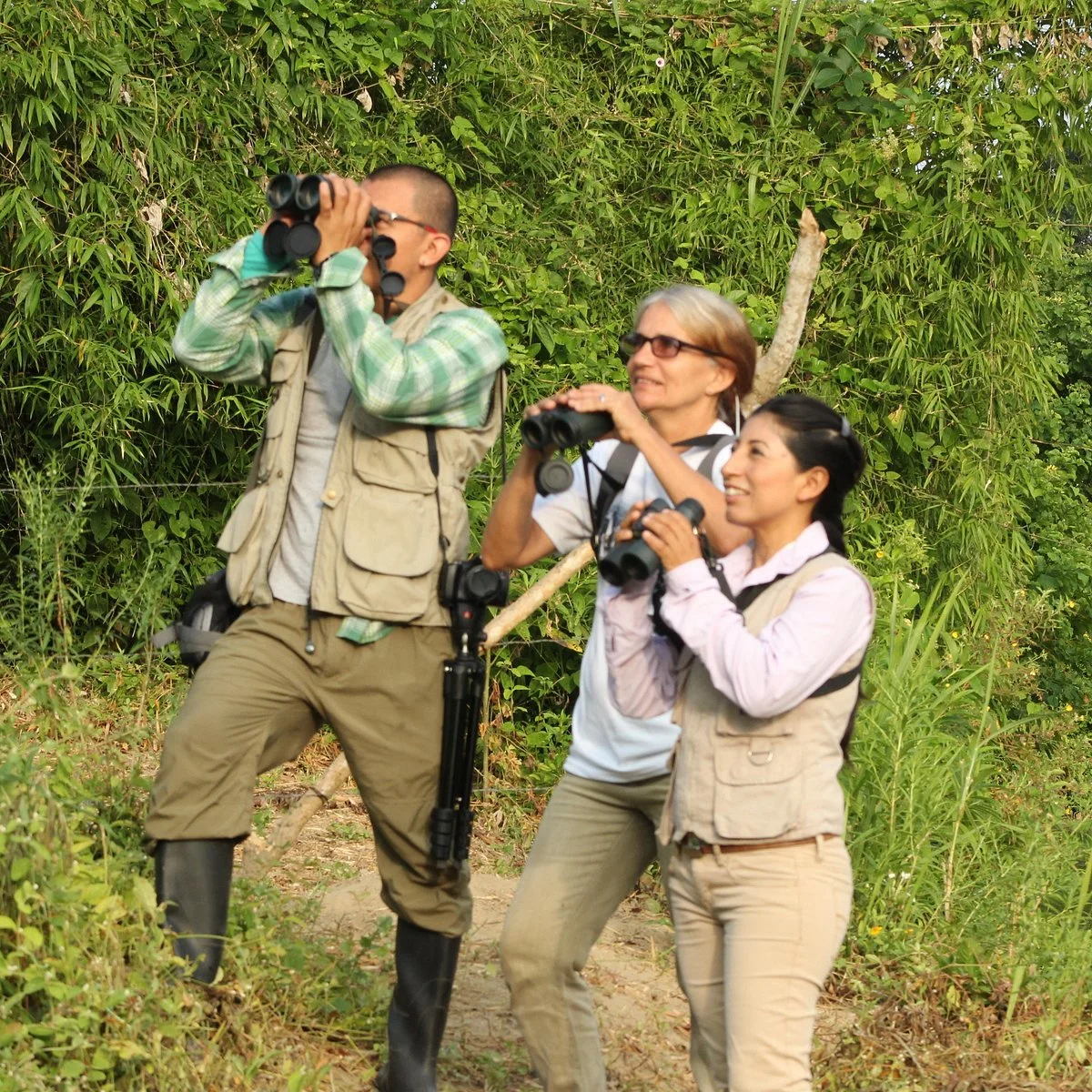 Bird Watching with Sandra Plúa