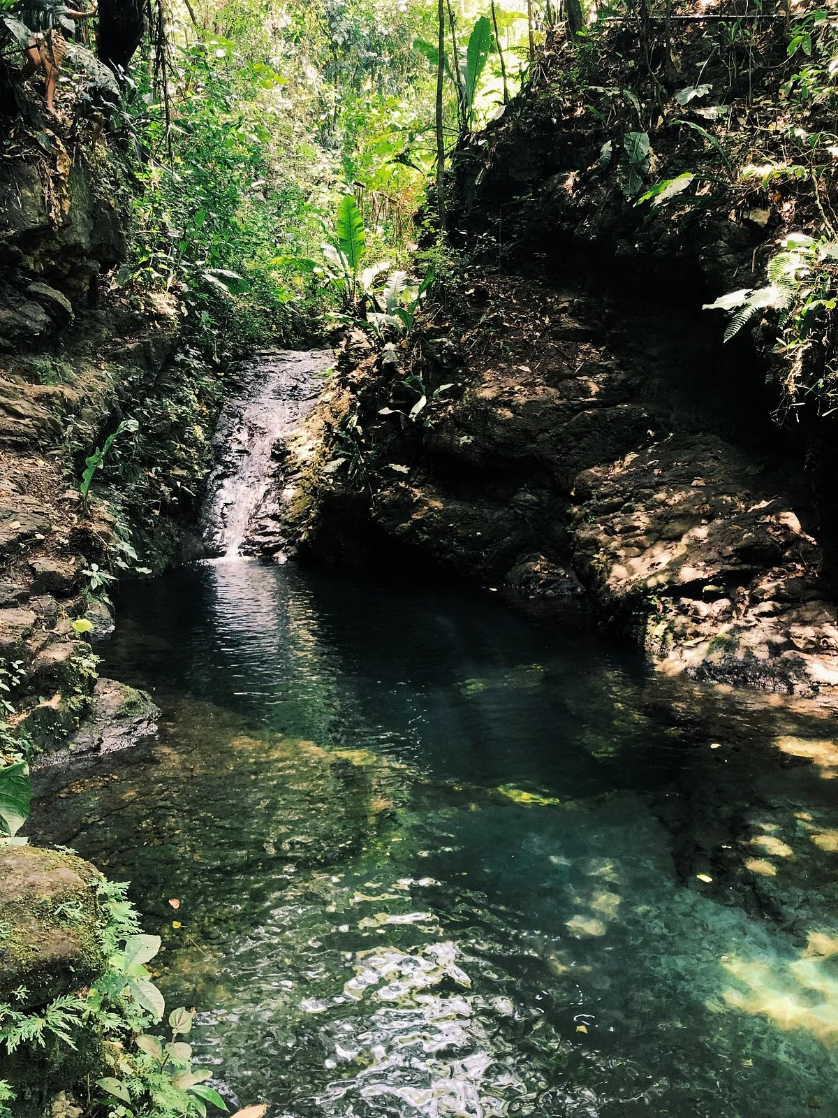 Cascadas de Alex