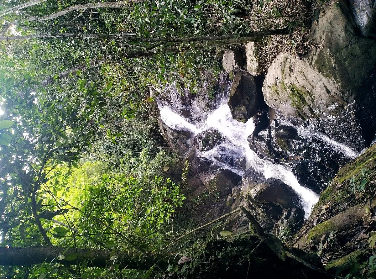 Reserva Natural Ciudad Perdida De Fálan