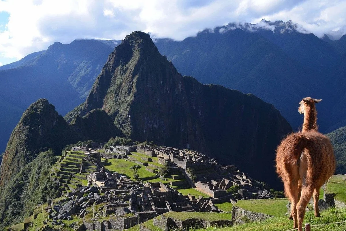 Be Fun Perú