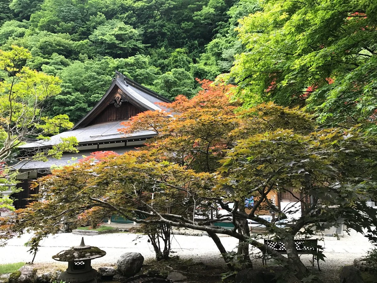 Dorogawa Shizen Kenkyuro