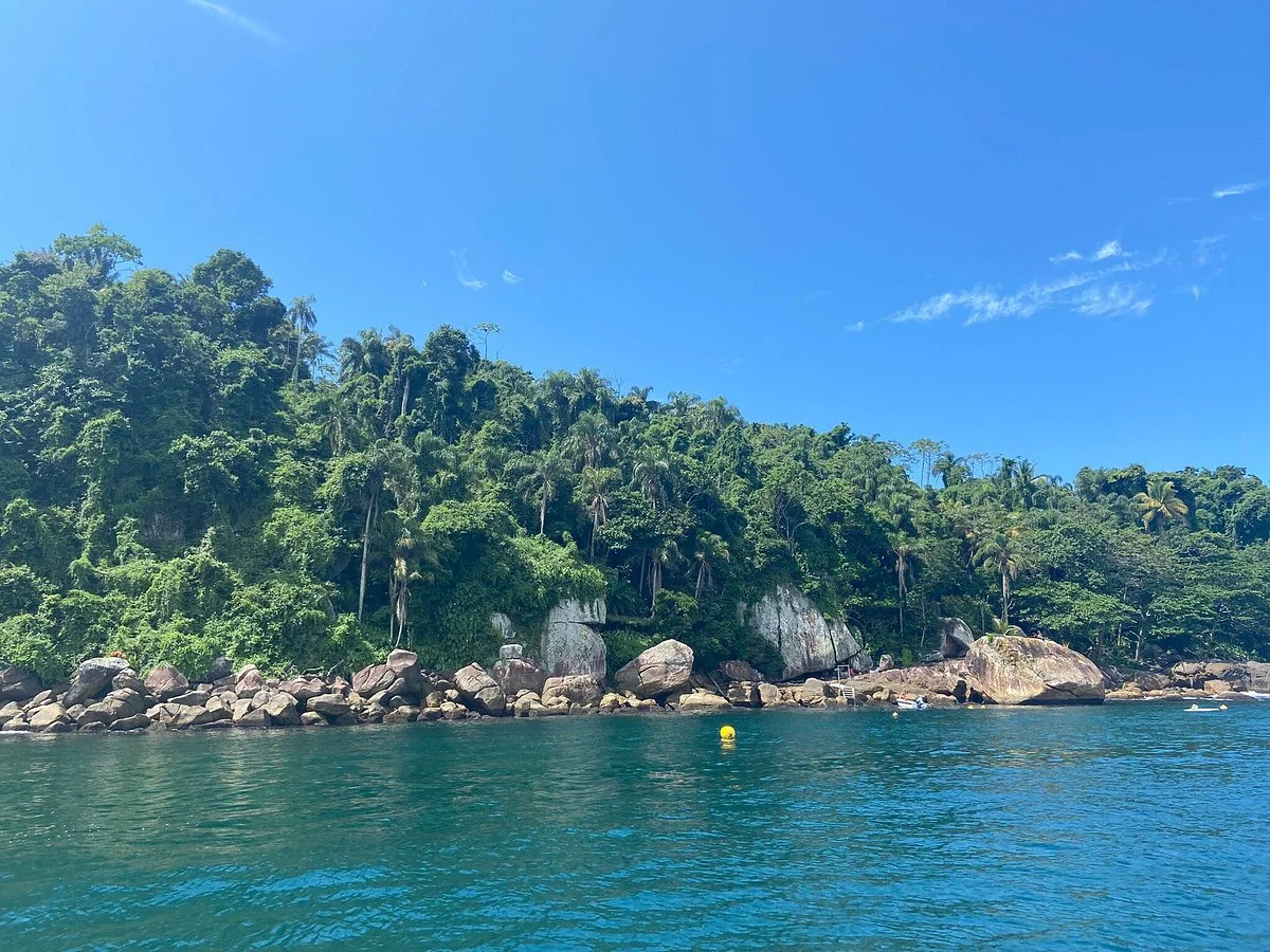 Pura Vida Trips