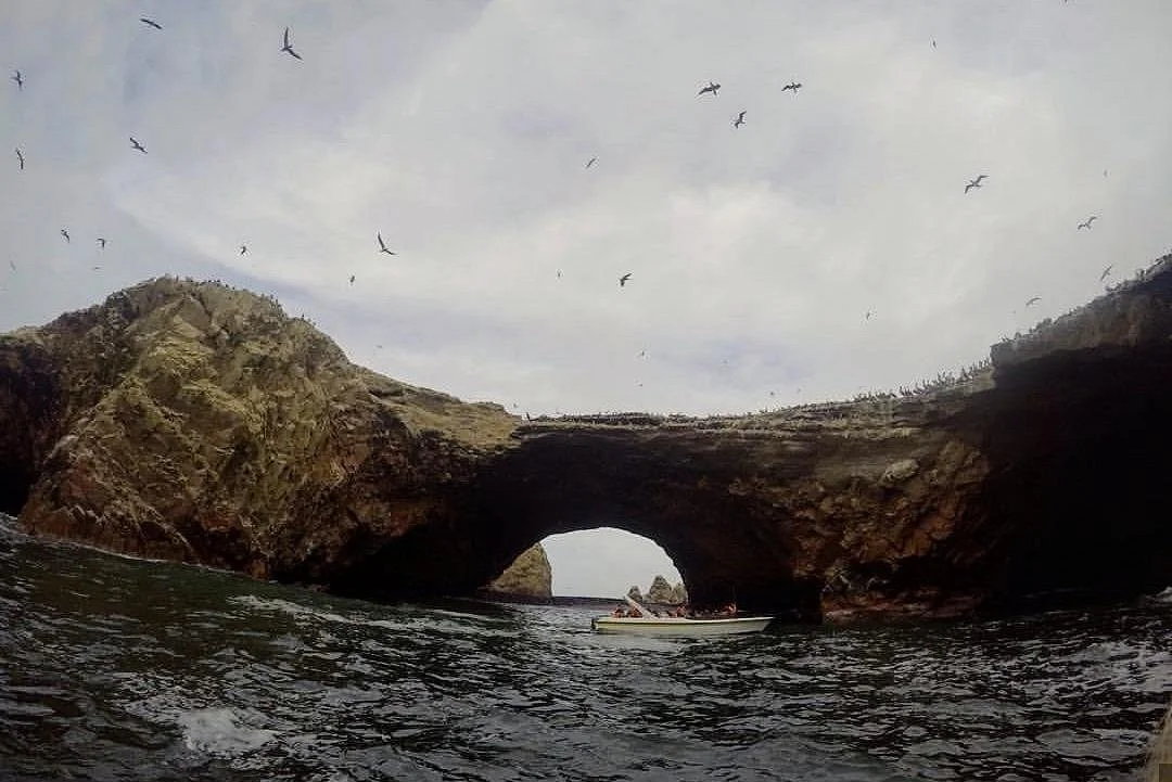 Islas ballestas