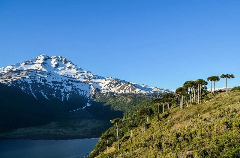 VidaNativo Ecoturismo & Expediciones