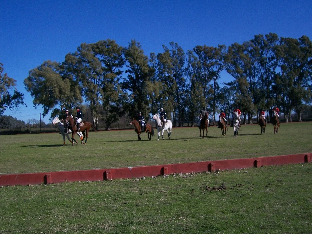 La Manea Polo