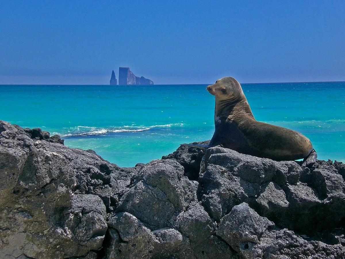 Galapagos Booking Travel