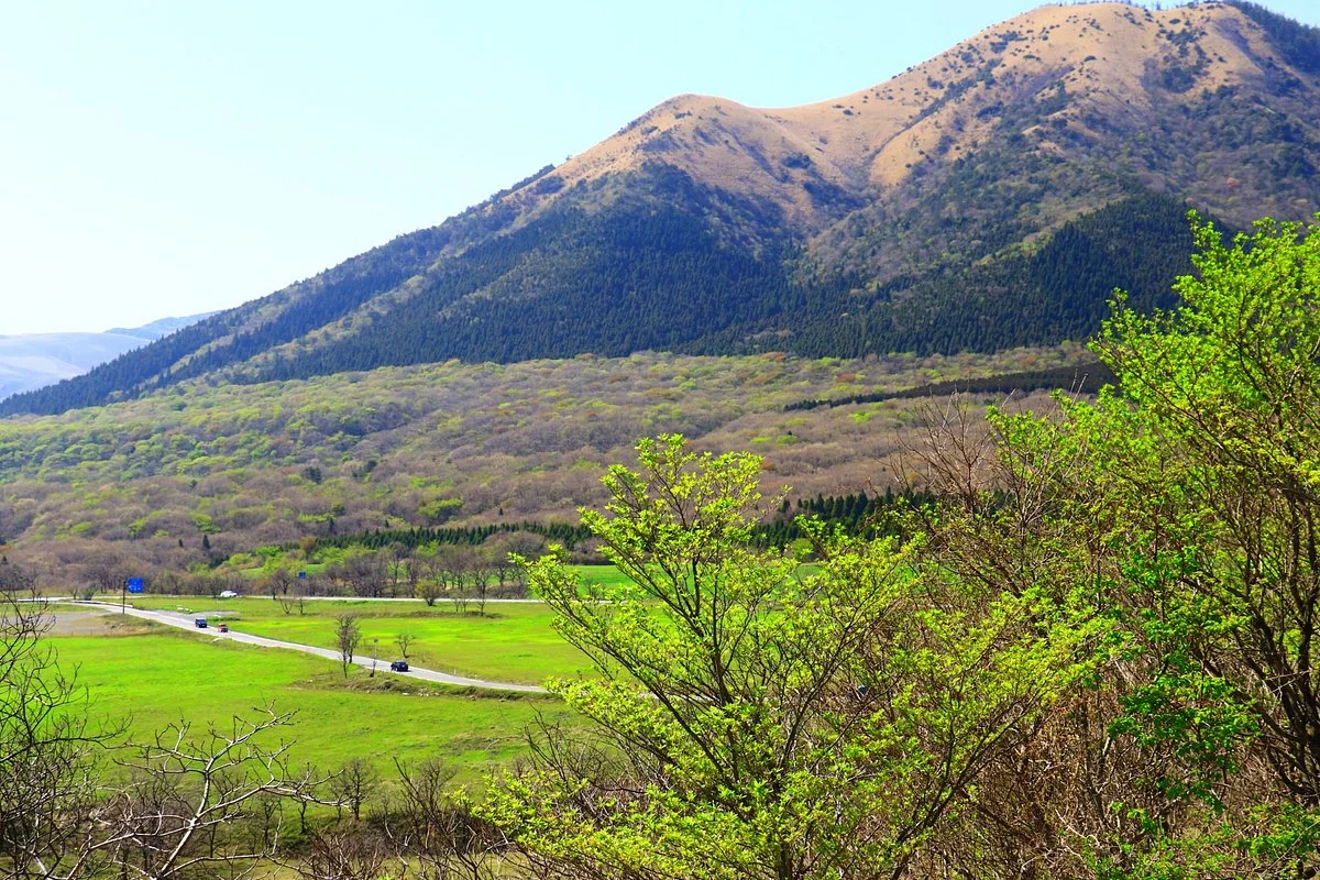 Senomoto Kogen