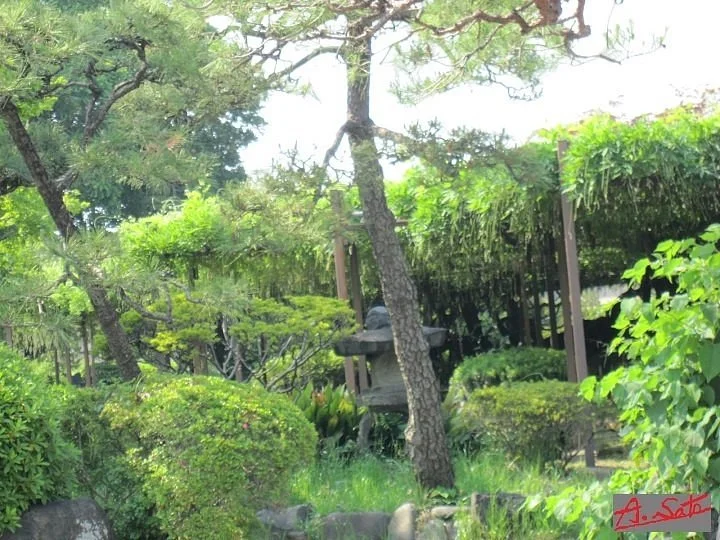 Suga Garden