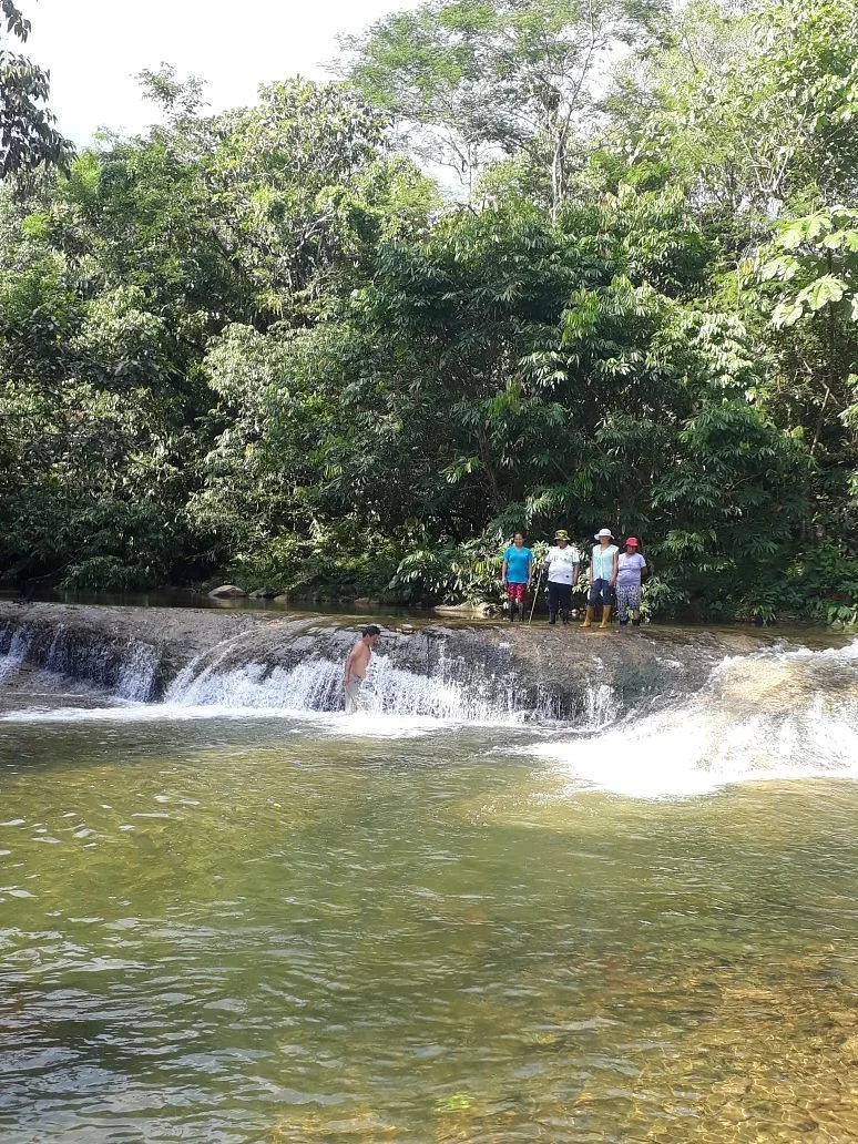 Napusamai Ayahuasca Lodge