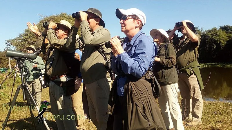 Endemic Peru - Day Tour