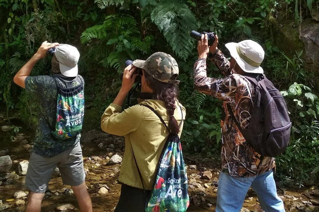 Tour San Rafael