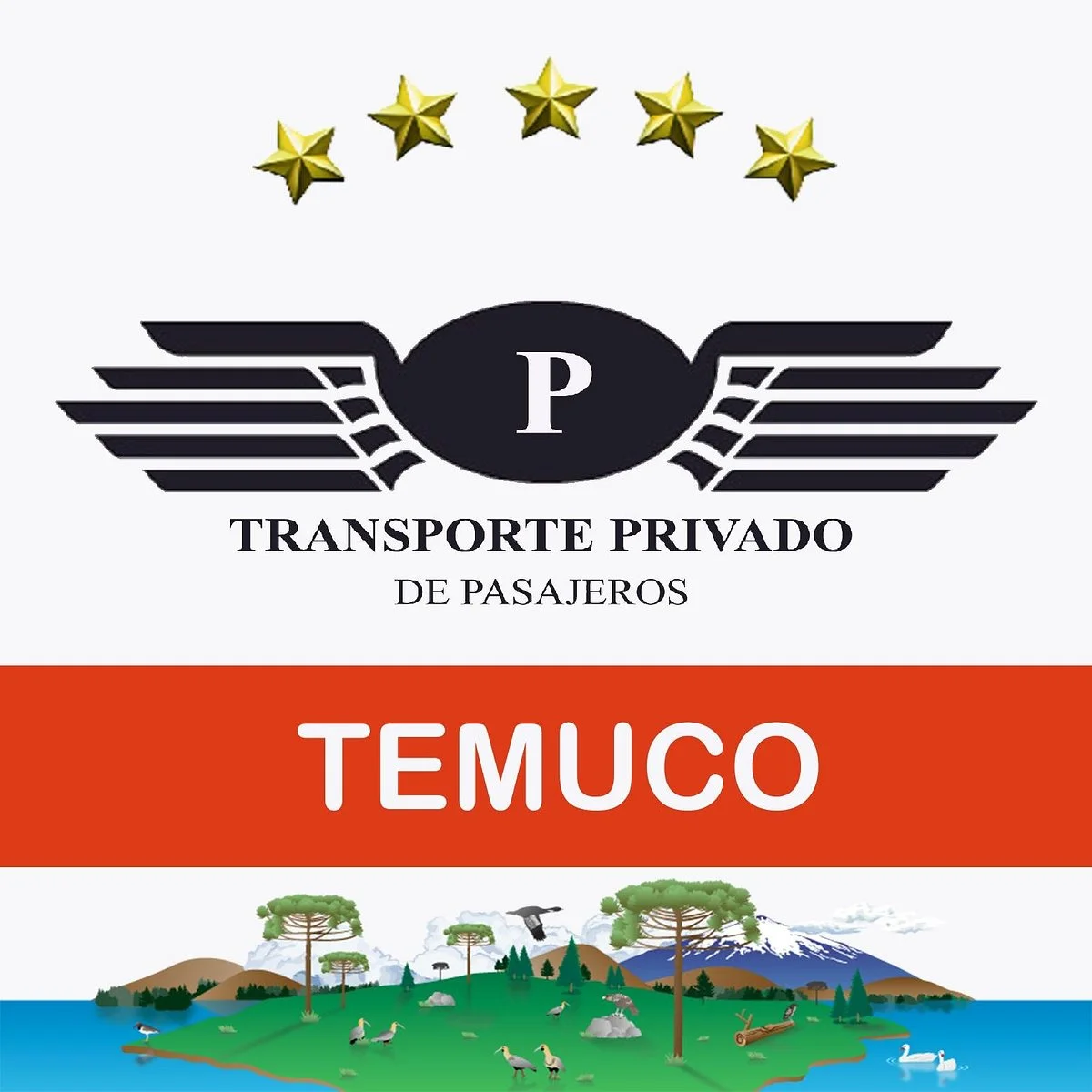PTRANSPORTE