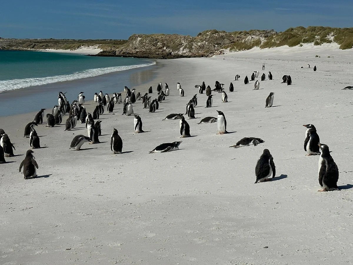 Falkland Islands Tourist Board