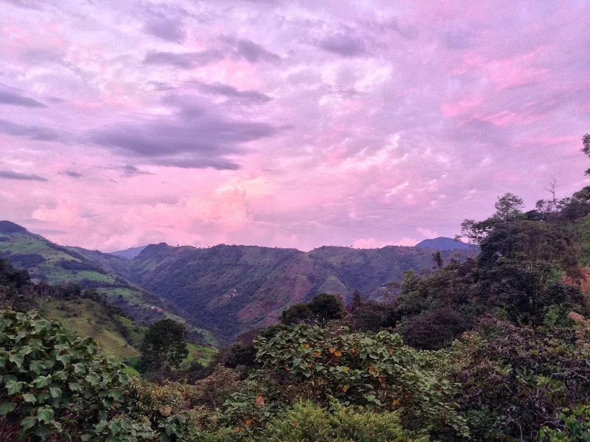Finca Verde