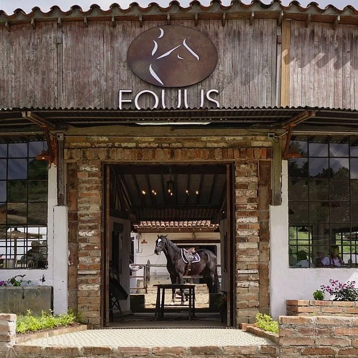 Equus