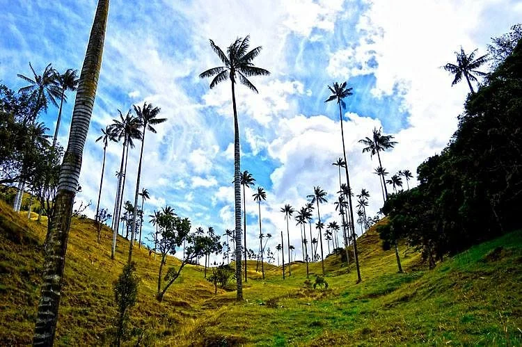 Colombia Viajes
