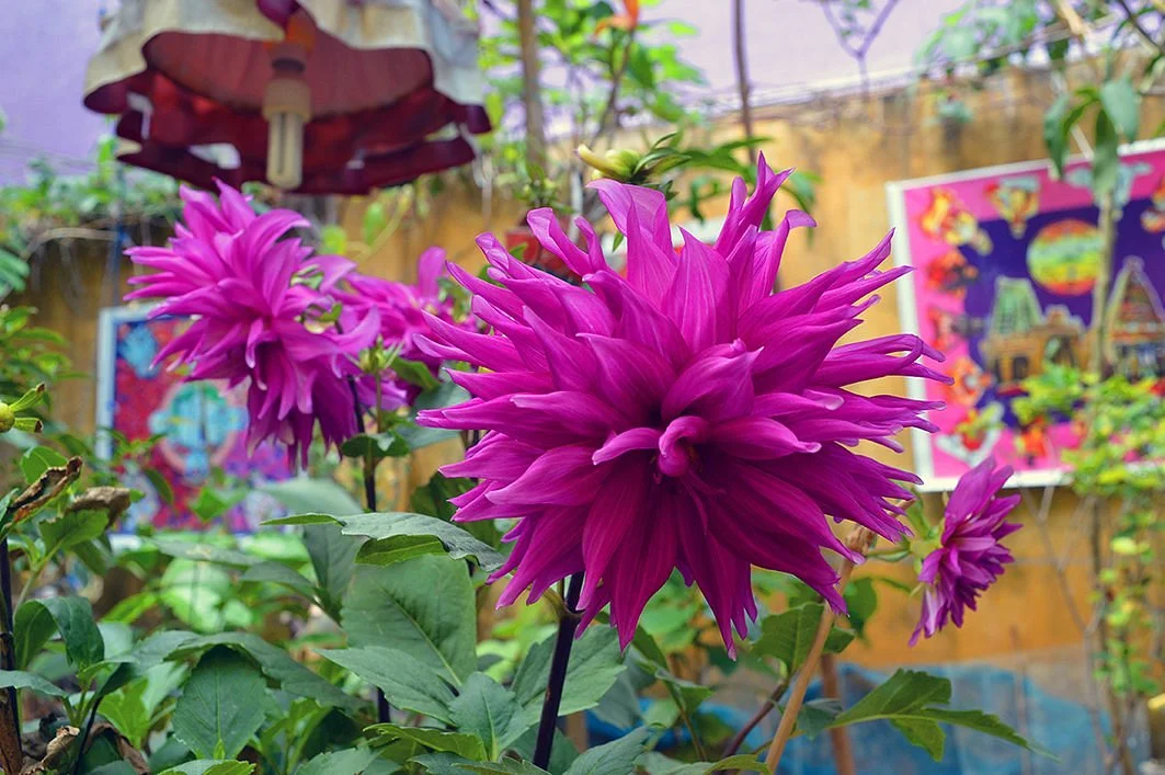 The Ganesh Garden