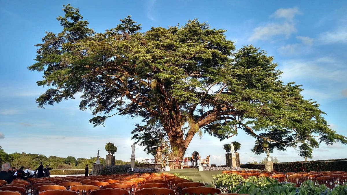 Coudelaria Souza Leão