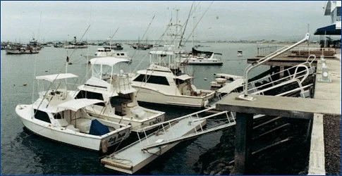 Bluemarlin Fishing Charters