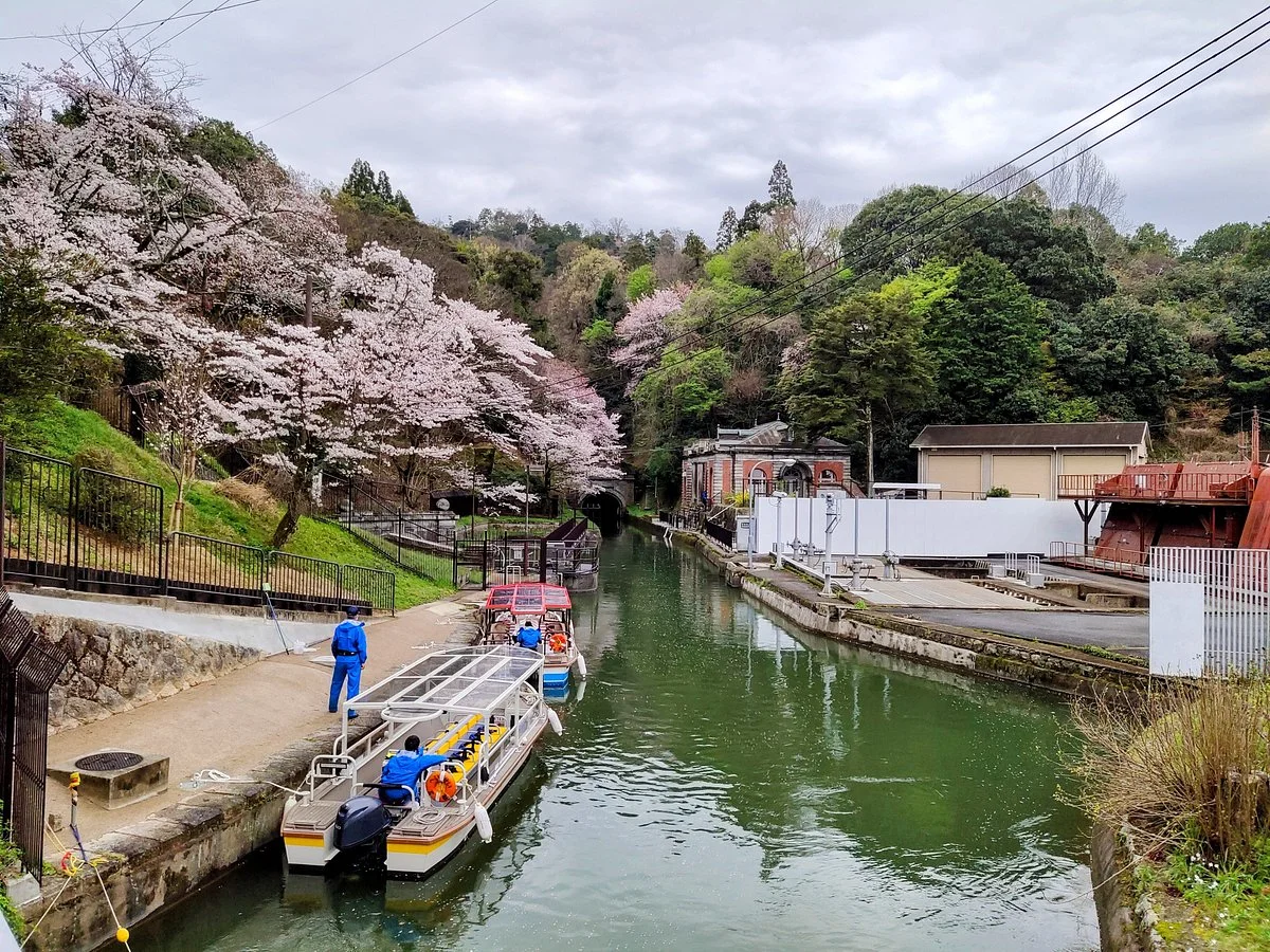 Lake Biwa Sosui-no Sakura