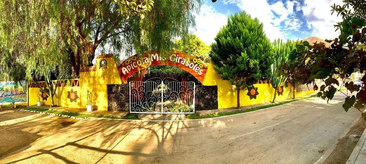 Apicola Mis Girasoles