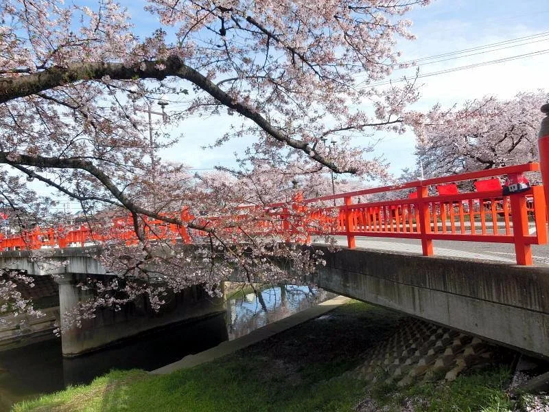 Shinsakai River Tsutsumi