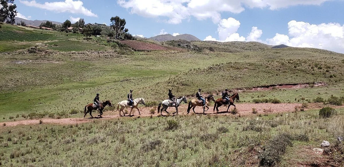 Vieja Estancia
