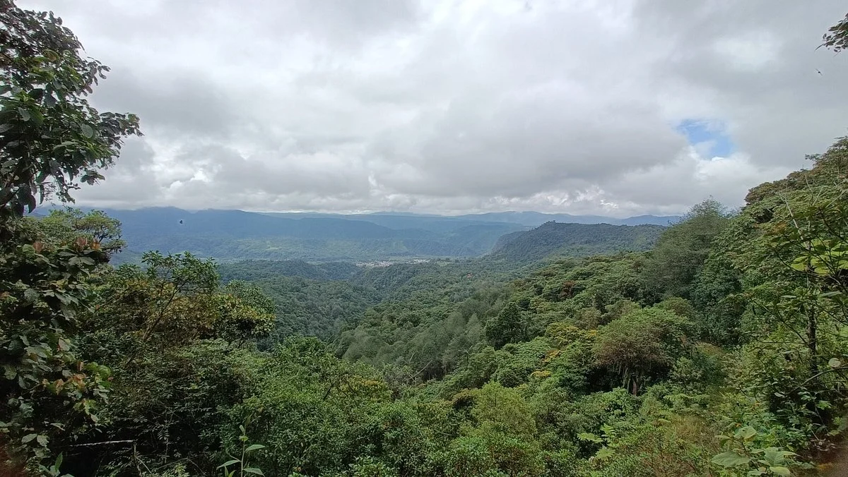 San Tadeo Birding