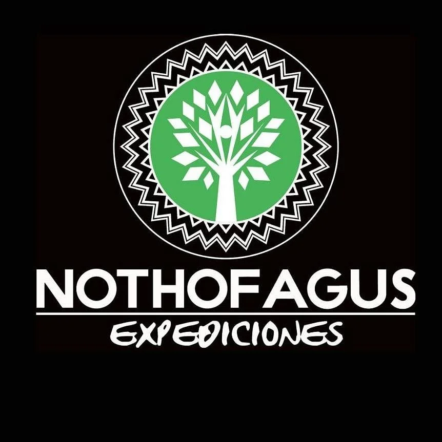 Nothofagus Expediciones